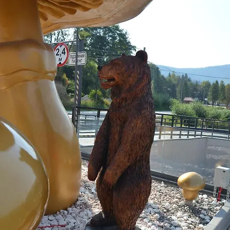 будинок в микуличині * Mykulychyn