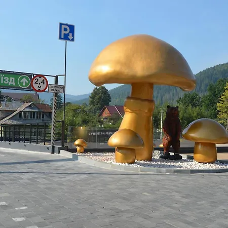 Holiday home будинок в микуличині